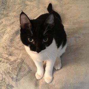 Meet your Posher, Devora